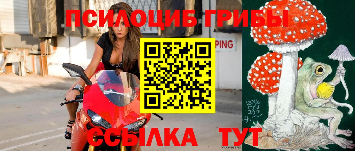 Псилоцибиновые грибы Psilocybe Мелеуз