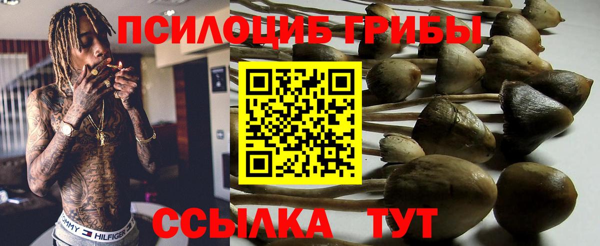 Галлюциногенные грибы MAGIC MUSHROOMS  Вход с VPN  Псилоцибиновые грибы прущие грибы  Мелеуз 